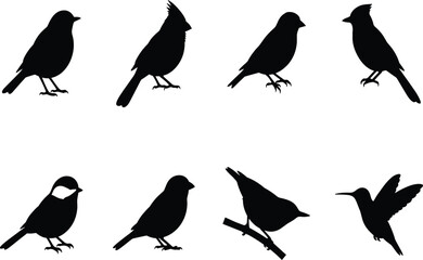 Songbird Silhouettes Vector Icon Set Featuring Cardinal Blue Jay Hummingbird and Sparrow © MdFarhad