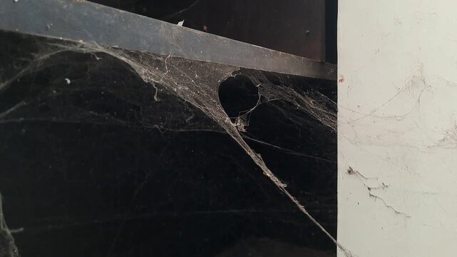 Close up of thick dusty cobwebs and spider webs covering an old unused wooden shelf and cabinet in dark warehouse. Eerie, scary, horror, abandoned, haunted house, creepy atmosphere background footage.