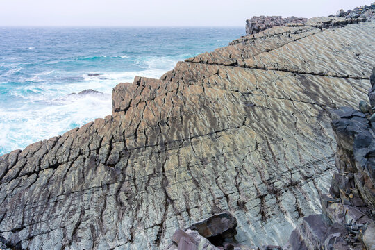 Mistaken Point, UNESCO World Heritage Site in Newfoundland, the oldest multicellular and complex deep-water marine fossils on Earth