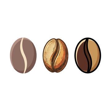Three distinct coffee beans illustrated in a simple hand drawn artistic style