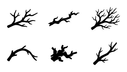 Obraz premium Vector Branches Set: Organic Twigs, Silhouette Elements, Natural Wood Shapes for Design