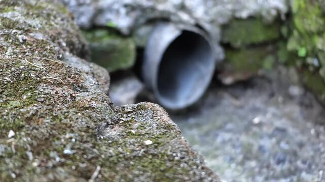 Slow motion focus pull footage moving from a moss covered concrete ledge to a dirty plastic drainage exit pipe built in an old wall.
