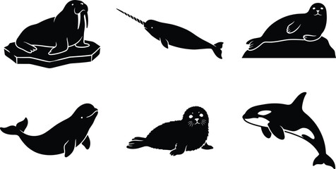 Vector set of arctic marine animal black silhouettes featuring walrus, narwhal, seal, beluga, and orca © Shilpi