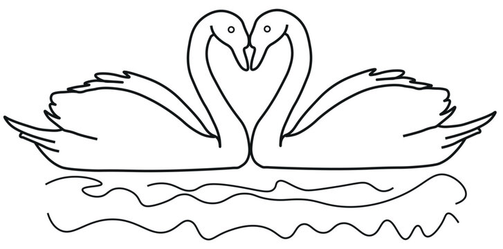 Minimalist swan line art vector, romantic pair of swans forming a heart shape, elegant bird outline illustration for wedding invitations