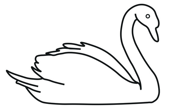 Minimalist swan line art vector, elegant black outline of a swimming swan, simple bird silhouette for coloring and logo design