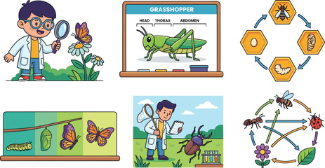 Fototapeta premium Kids entomology education vector set with cartoon child scientist insect life cycle and butterfly metamorphosis illustrations isolated on white background