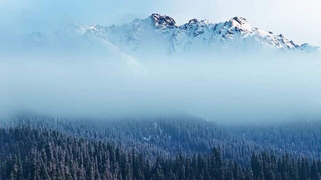 Majestic snow covered mountain peaks rising above thick white fog and a dense evergreen pine forest. Ideal background for winter travel and nature concepts.