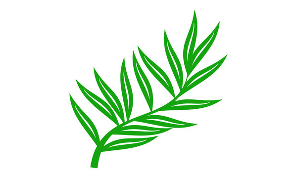 leaf nature vector logo