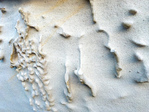 Sandstone formations along Sydney's Coastal Walk shaped by wind and ocean erosion on the coastline of New South Wales, Australia.
