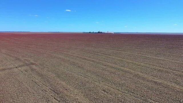 Lavoura de sorgo em produ&ccedil;&atilde;o