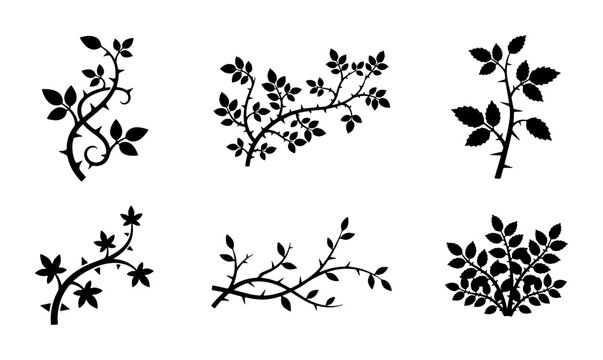 Black Rose Bush Sprigs, Thorny Branches, Vector Elements for Organic Design & Nature Themes