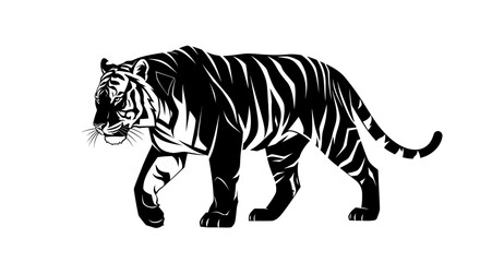 Obraz premium A detailed black and white vector illustration of a powerful tiger walking gracefully, isolated on a clean white background.