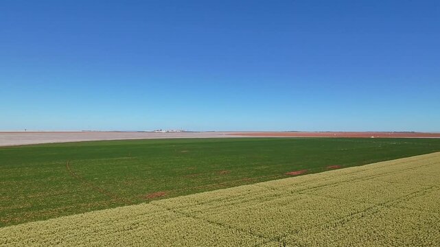 Panorama a&eacute;reo de lavoura de milho na pr&eacute;-colheita Brasil