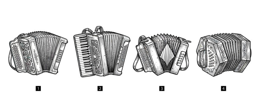 Vintage Accordions Collection Sketch Illustration