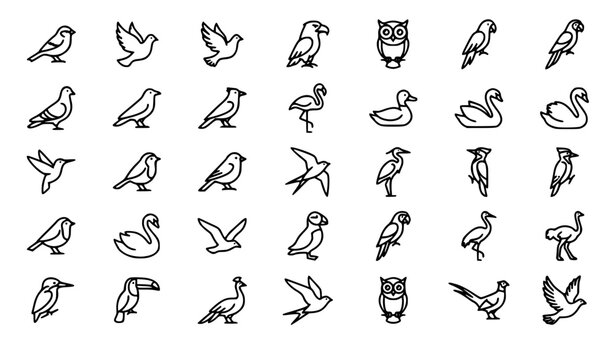 Set of various bird line icons featuring different species of wild and domestic birds in minimalist style