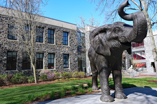 Statue of Jumbo the elephant at Tufts University in Boston, in front of a building donated by circus owner P.T. Barnum
