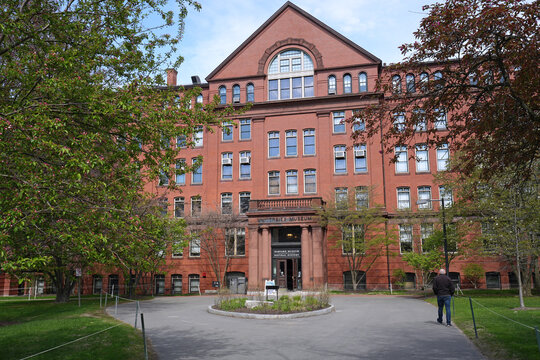 Building of the Harvard University Museum of Natural History