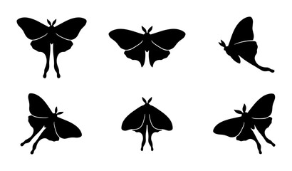 Luna Moth Silhouettes, Vector Icons Set, Insect Graphics, Nature Elements, Black and White © Mondira