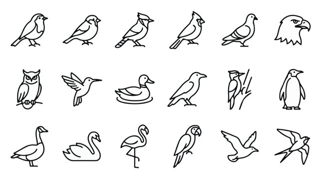 A set of 18 various common birds line art vector icon illustrations on a white background
