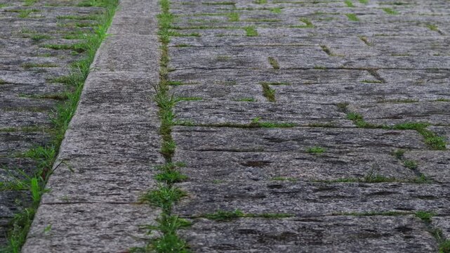 The summer monsoon rain falls on the stone ground.여름철 장맛비가 돌바닥위로 내립니다.