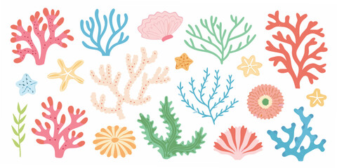Coral Reef Elements And Sea Shells Colorful Vector Illustration © Rathindranath