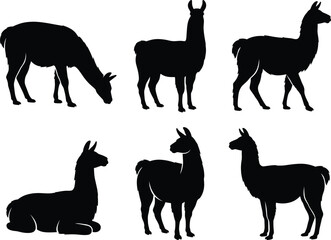 Set of various llama animal poses presented in a clean black and white graphic design style silhouette © MstShilpy