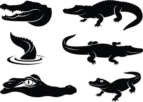 Set of black alligator and crocodile icons featuring a distinctive animal silhouette