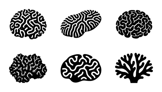 Brain Coral Icons, Marine Life Vector Set, Underwater Organism Graphics, Biology Science Symbols