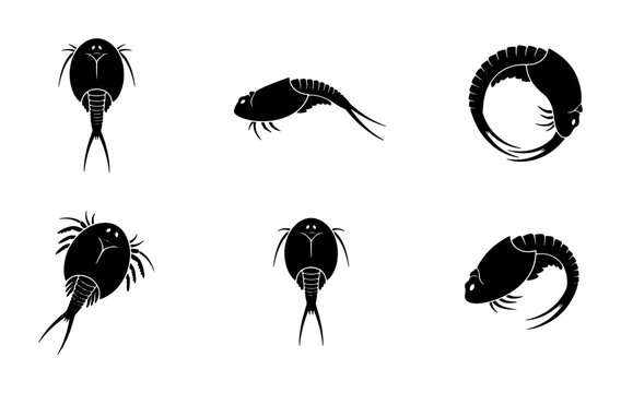 Triops Sea-Monsters, Ancient Crustaceans, Prehistoric Life Icons, Scientific Illustration Set