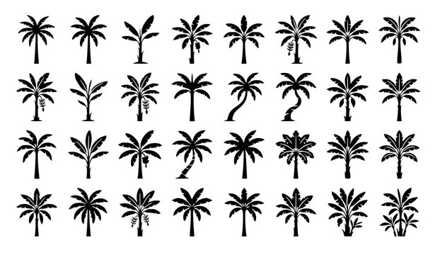 Collection of tropical palm tree silhouette icons featuring coconut palms and exotic beach trees in minimal black vector design set