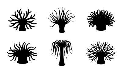 Sea Anemone Silhouettes Collection, Marine Life Vector Icons, Underwater Organism Graphics © Sahil