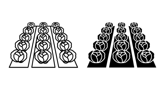 Cabbage Patch Vector Icons, Fresh Produce Rows, Organic Farming, Garden Cultivation, Healthy Food