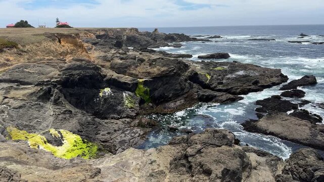 The coastal trail towards Cabrillo Lighthouse near Mendocino while taking in views of the ocean and cliffs