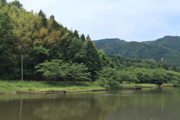 Fototapeta premium 沼と畔の森林（宮城県白石市の馬牛沼）