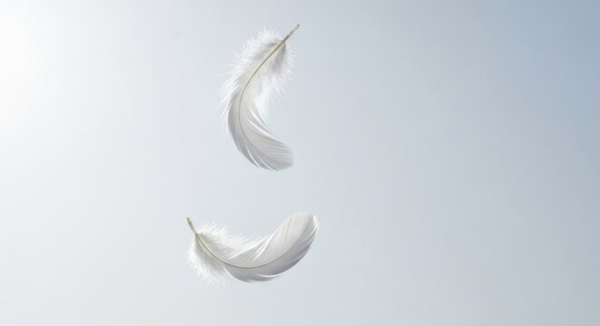 Two delicate white feathers gracefully floating against a light blue sky