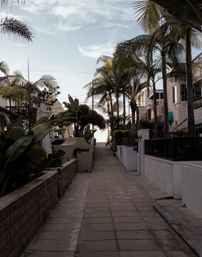 A charming pathway adorned with lush palm trees leads towards inviting villas, encapsulating coastal living and the essence of relaxation in a splendid environment.