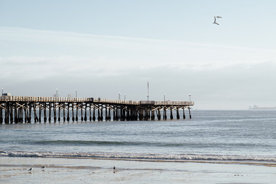 A serene view of a sunny pier stretching over calm waters, with birds in flight, representing peace and tranquility in a coastal landscape filled with soft natural light.