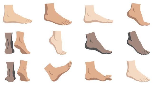 Human feet anatomy set showing different skin tones and various positions.