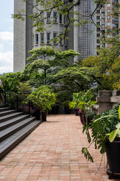 garden in san Ignacio park in medellin Colombia