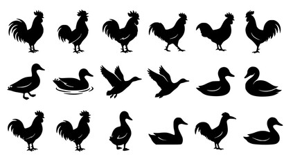 Fototapeta premium Duck and Rooster Silhouette Vector Collection for Farm Animal Logos Poultry Branding and Wildlife Illustration Design