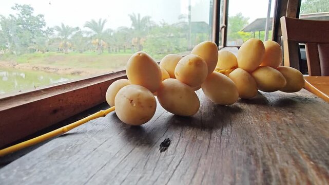 Fresh Yellow Date Palm Bunch on Wooden Table by Window.
