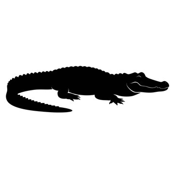 Black crocodile silhouette vector, wild alligator profile icon, predatory reptile shape isolated on white, swamp animal graphic element