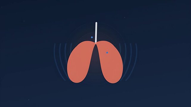 Scientific animation of human lungs and respiratory system showing airflow movement for medical education background visualization