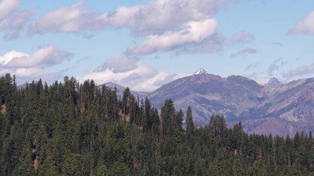 Aerial of Okanogan Wenatchee National Forest mountains and peaks in Washington with dense coniferous forests and rolling snow capped Stuart Mountain range in summer