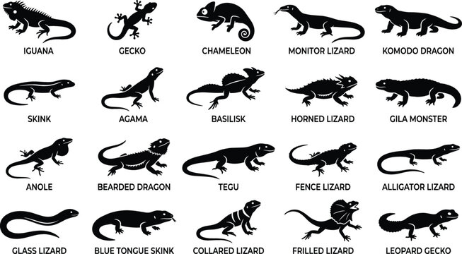 Lizard and Reptile Silhouette Icon Set with Iguana Gecko Chameleon Monitor Lizard and Komodo Dragon Symbols for Wildlife Graphic Designs