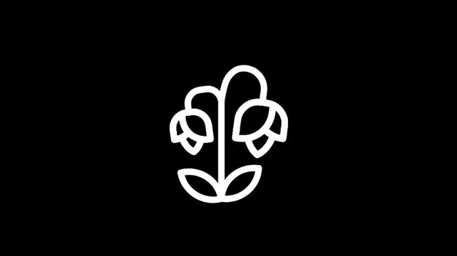 Minimalist white outline of bell-shaped flowers on a black background