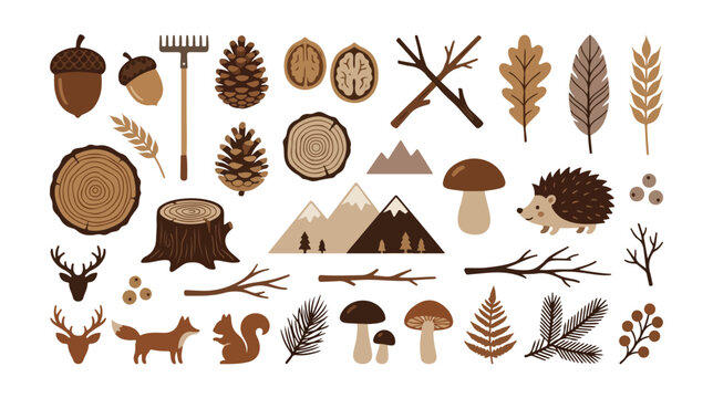 Autumn forest nature elements vector collection, woodland animals and plants, rustic fall season graphic resources. Decorative acorns, pine cones, mushrooms, deer, fox, squirrel, hedgehog