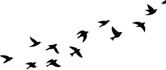Fototapeta premium Birds in flight vector illustration featuring graceful wings, dynamic movement, freedom, and elegant natural wildlife