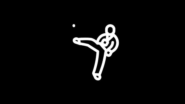 Martial arts fighter performing a high kick in a stylized outline on a black background