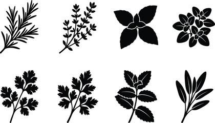 Collection of culinary herb silhouettes featuring rosemary thyme mint parsley oregano and sage isolated on white background vectorPrint © Ershad